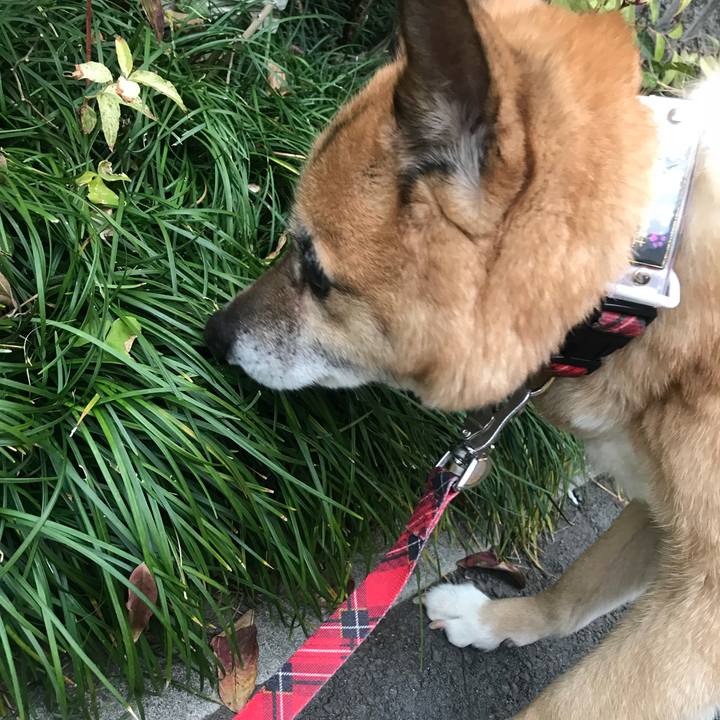 Fef68f71 a638 48e9 b750 1459deecb2ac 1519600427965