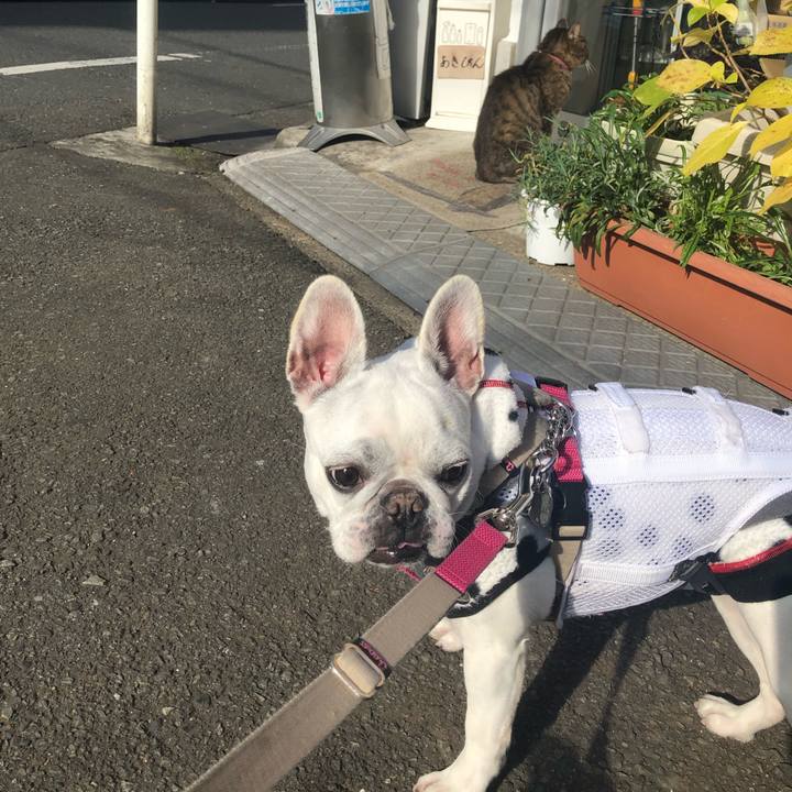 Fef72a32 284b 44ed a708 a4565abe0439 1577932488373