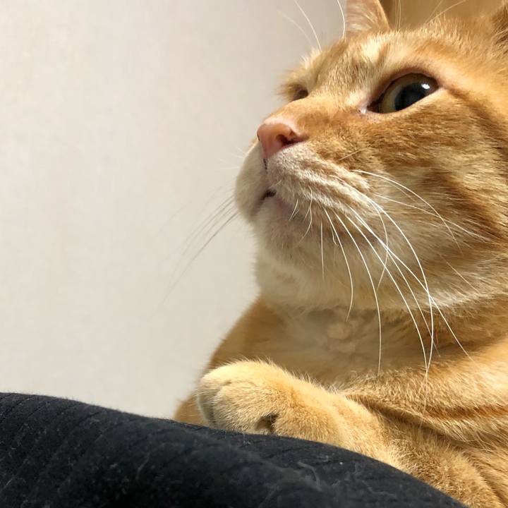 Fef72a4c 1e30 411f b1a0 0ff5a4c72eed 1584016659913