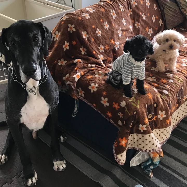 Fef7446a c2dd 41cf 906c 6a72cdca3017 1521067964819