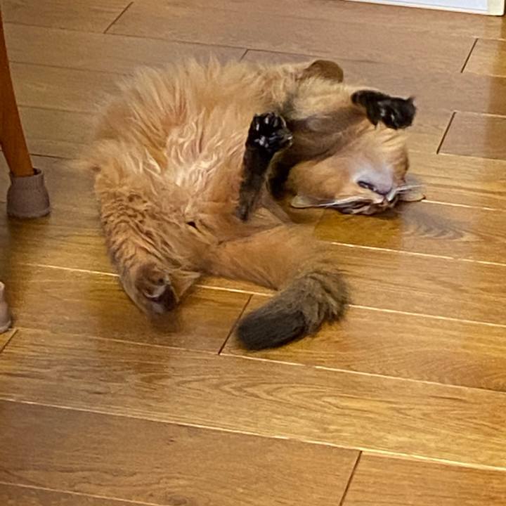 Fef75535 cc01 46ce aab6 df71fcb2ad30 1656552681877