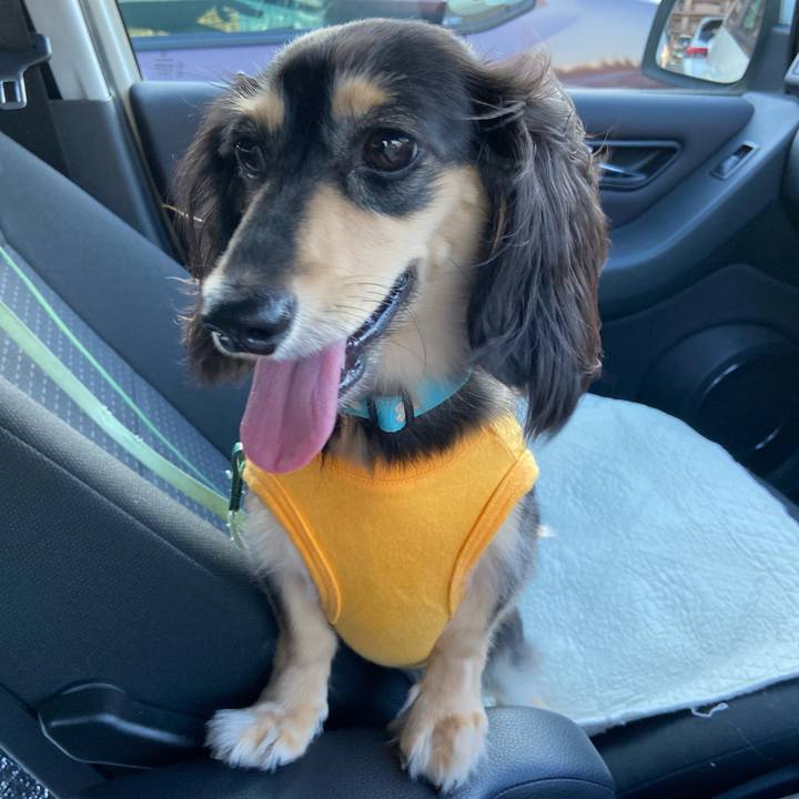 Fef78247 db84 4b31 a3cc 670cfb220e29 1726180771903