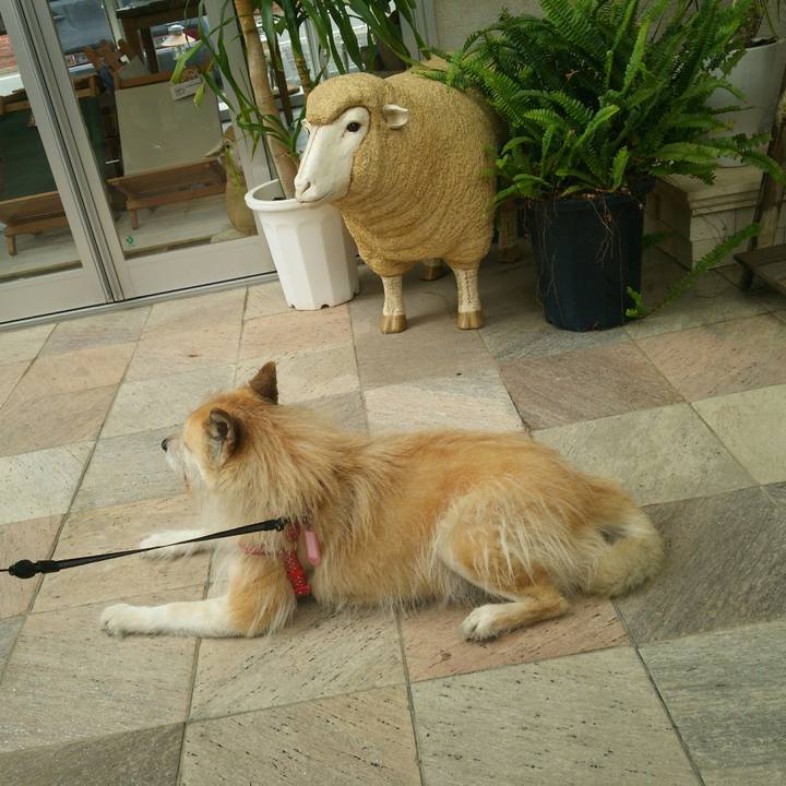 Fef7deb2 5745 4566 a971 af6d606d0736 1526177736326