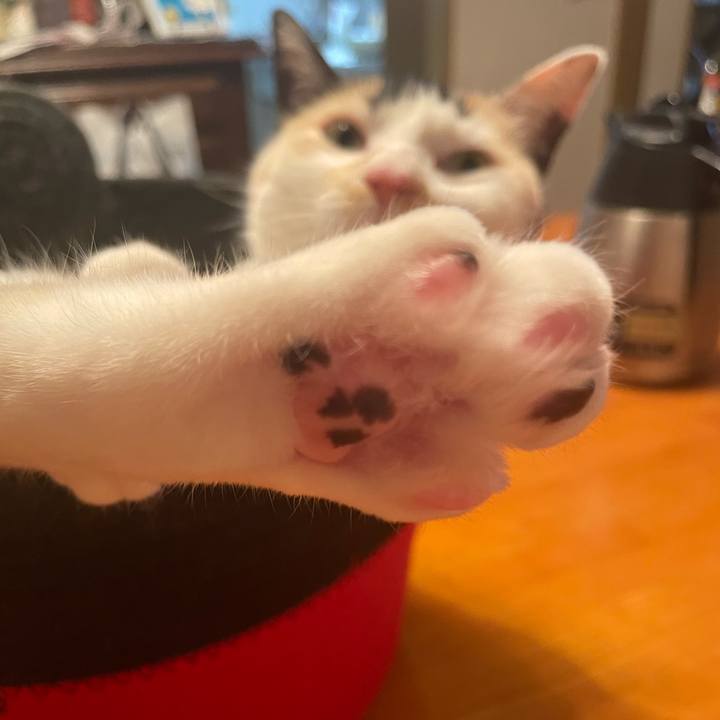 Fef7e332 dc64 4d27 b153 5ef4d7d5aff6 1748914080062