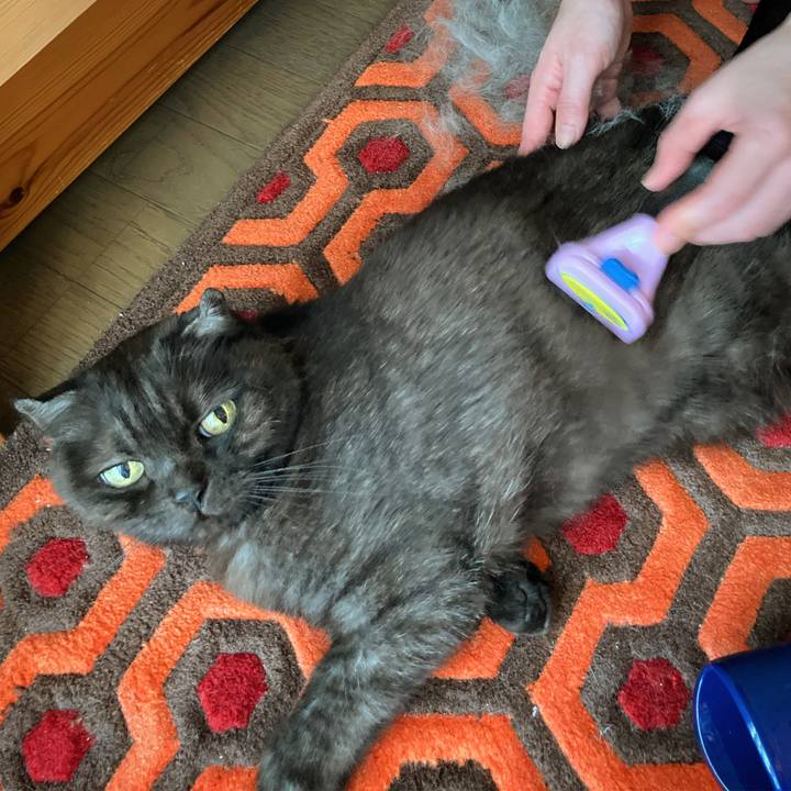 Fef814f9 7103 4937 b8a5 717641b650fd 1589360335832