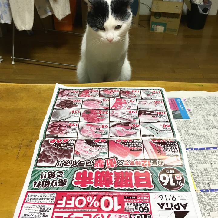 Fef8944d d76b 4acf ada2 a8a338e4d5e0 1537100310919