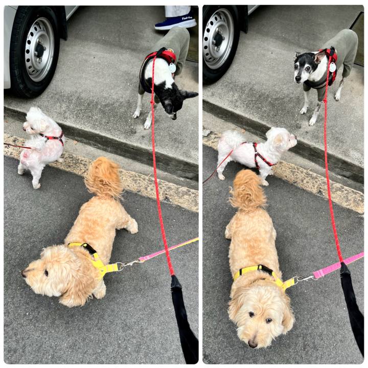 Fef897ea bf8e 4c0e ab40 0aa9e209eca4 1652996388935