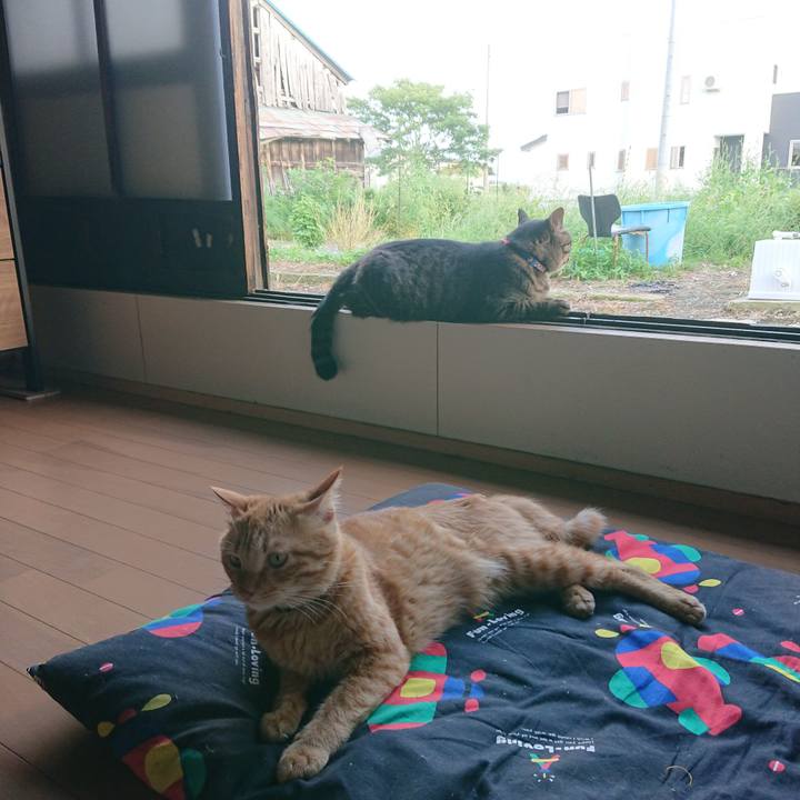 Fef8cae4 165d 41c6 bbf4 488e05d8c1ef 1662364775659