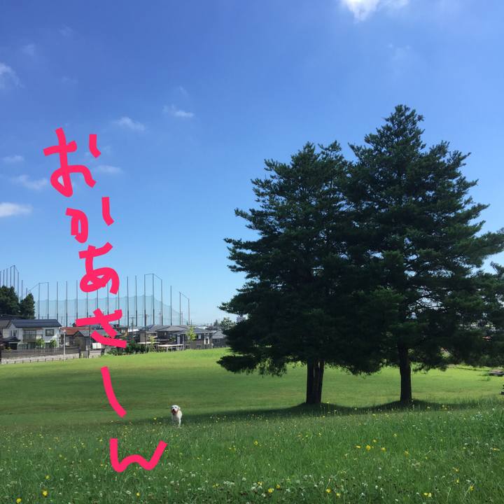 Fef8d050 e9f3 430f 8b04 bc4e5c2cbe5a 1558956585971