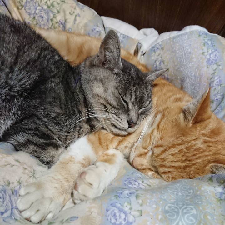 Fef8da09 aa9f 44aa 85bc 0451f1c85f14 1583584632229