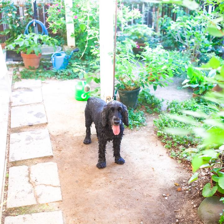 Fef90676 2d21 4765 a2d8 c8e079a57526 1599305481915