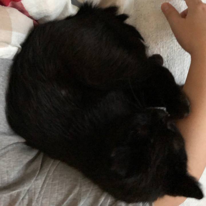 Fef90b52 f2ef 4bb9 9df0 e55058d10dda 1568151968914