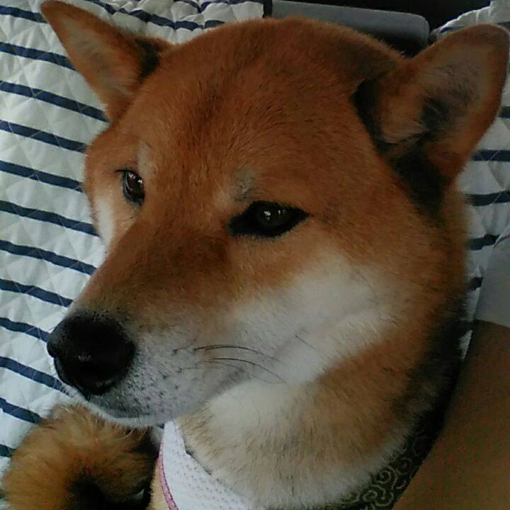 Fef93baf 0215 4cb6 bc2f 4563352a45a1 1526691476921