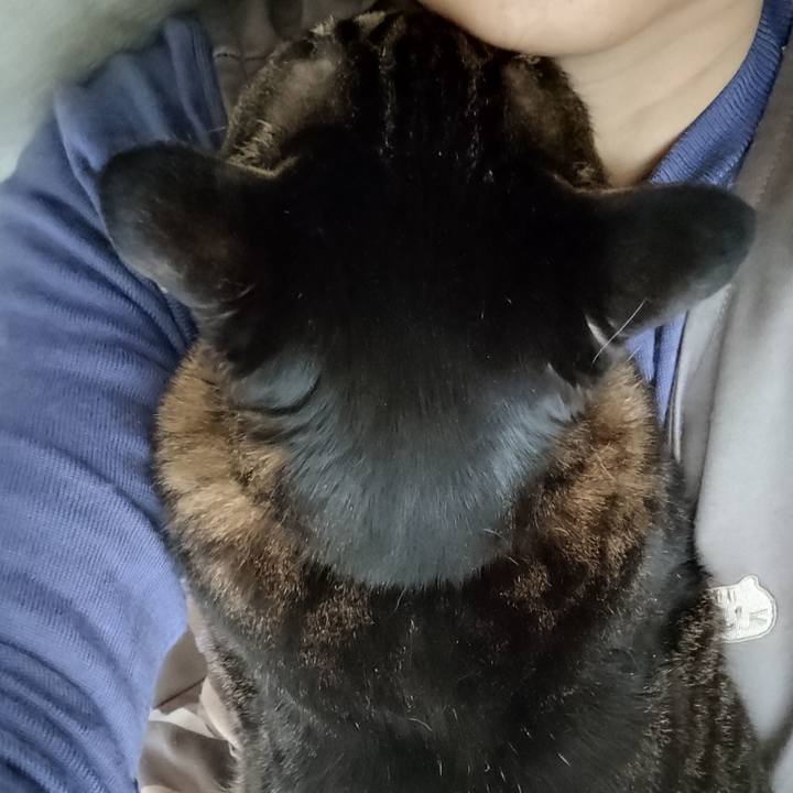 Fef97069 27e2 49a1 b2c6 7f2257f10585 1774999382364