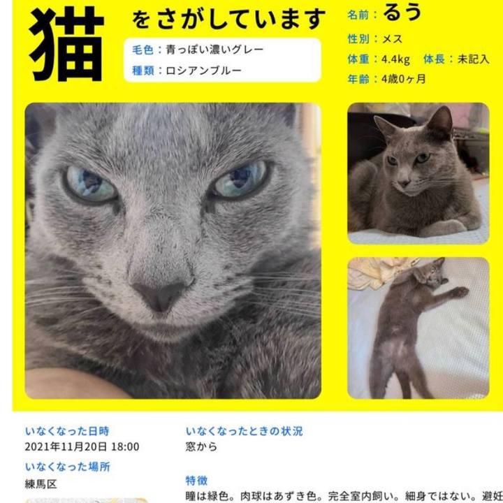 Fef9717f 3f82 4b39 997a 8c9da9a66cab 1638522566992