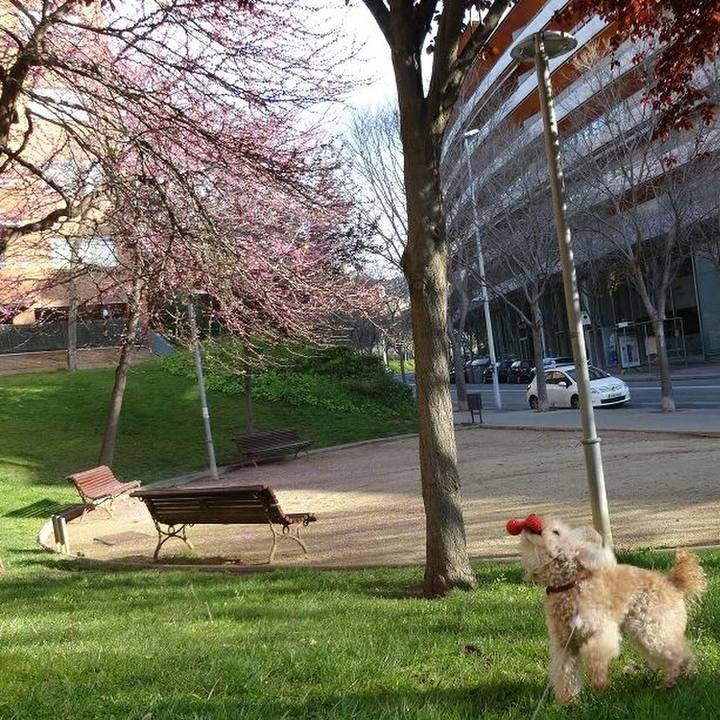 Fef97ef0 3977 41ec 90b1 e55fe9f82243 1585210761507