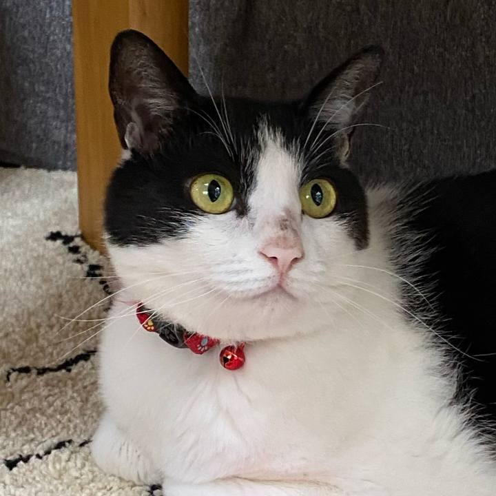 Fef9819e ae91 48a9 84ed 37b28f468785 1658359228110