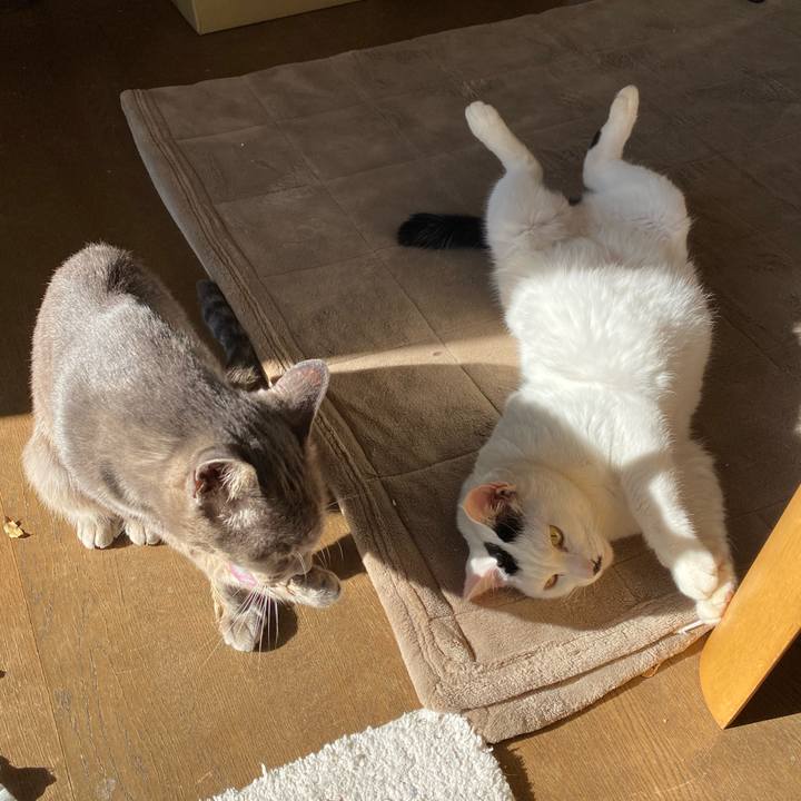 Fef986a5 411b 4ec9 a322 1ac324179e28 1607392767434