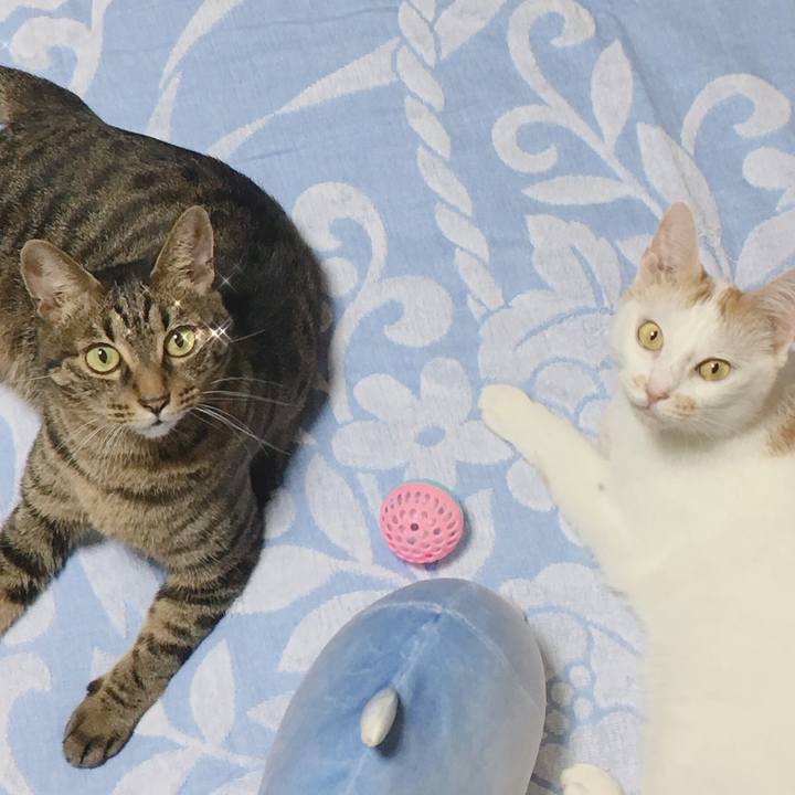 Fef98b50 ed20 4039 b06d 2ec390f4dd4e 1567326212594