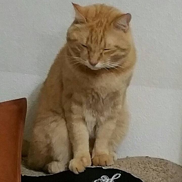 Fef997d3 5814 46fb 91b0 55c7f09a84bc 1520898477917