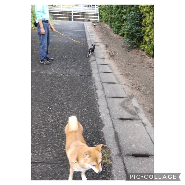 Fef9a133 2c94 4f5e b777 2de29506f84e 1695425307239