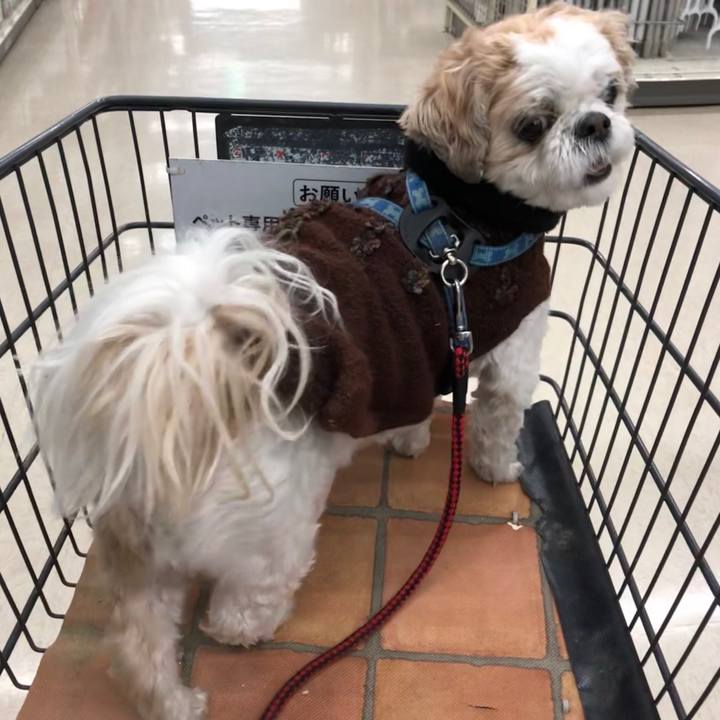 Fef9d6b0 36b6 4f94 a9ae b70870dd8eb5 1579729447436