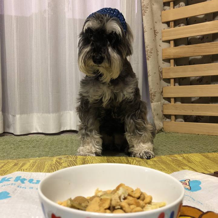 Fef9def2 20e0 4bb5 912f e8da399ab750 1531477565968