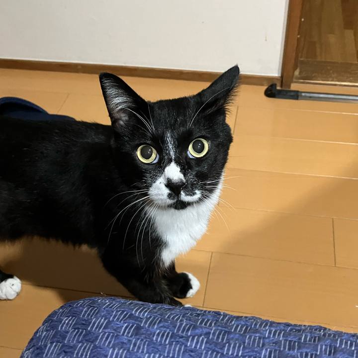 Fefa0bea a7de 4846 8640 cfe480c7ed6c 1666928176669