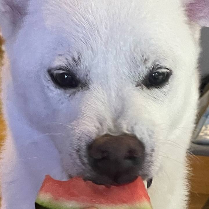 Fefa3bd1 bafd 457f 8cb3 0ebb31a456f5 1748566303515