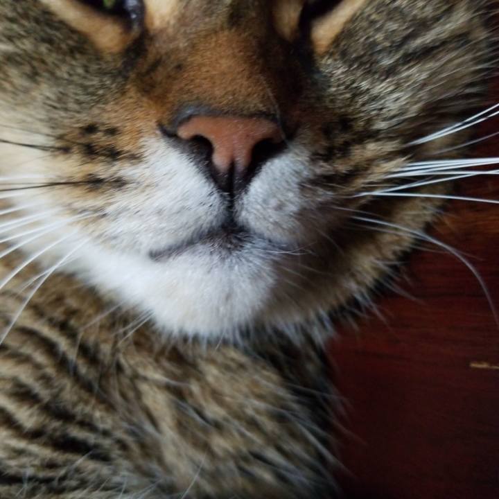 Fefa5e47 93a2 4432 a8e2 24bab6ed064e 1565041352788