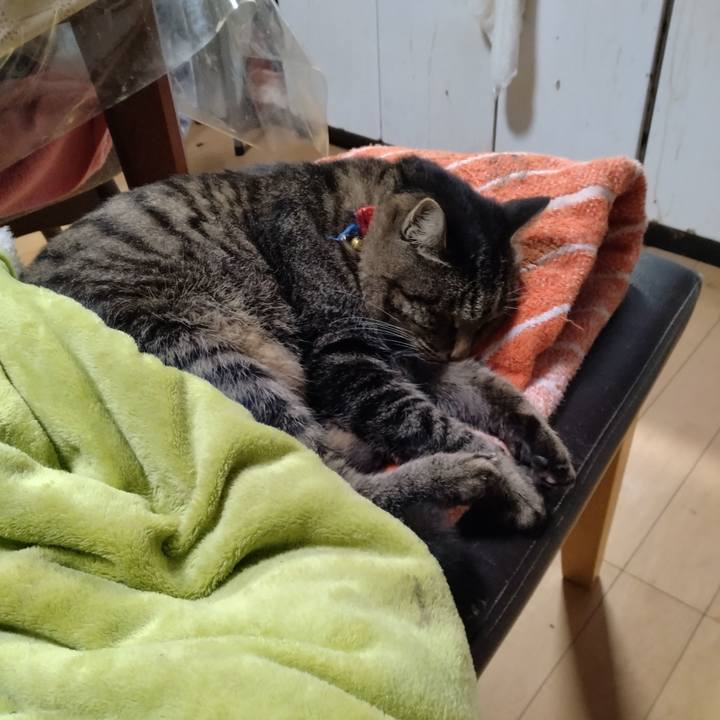 Fefa9e3d de94 4dbd a07a 43b5931f20a7 1700351923081