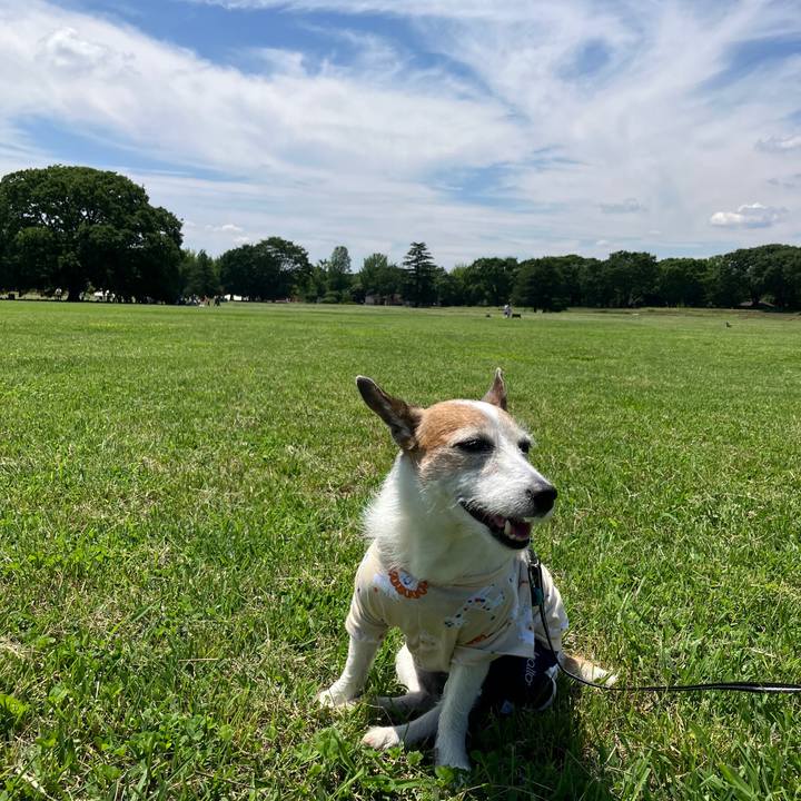 Fefab9bf 9658 41ee bfc5 81e250621c40 1717283123843