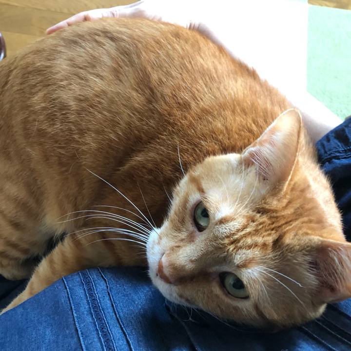 Fefb37ef 649d 4b84 84ab 9e5eb792e9e3 1633469942585