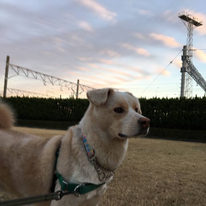 Fefb4e91 6da1 4c2a a40b a5b34d10b18a 1515061648535