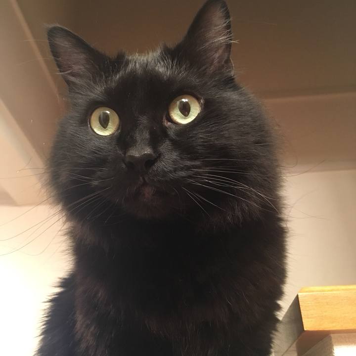 Fefb538a c717 4cba b95f 398265396c38 1517491429701