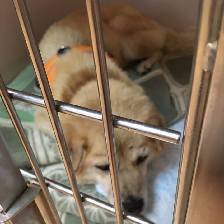 Fefb80d5 eab6 47fb 8ed3 f71132af077a 1515722352403