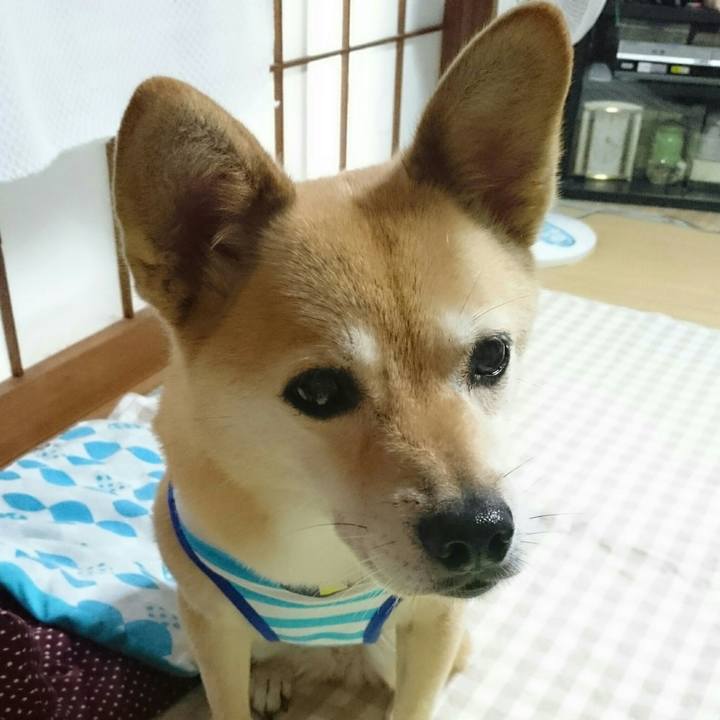 Fefb8b3c 65ad 4287 b438 1f9ec7eed98a 1548237669370