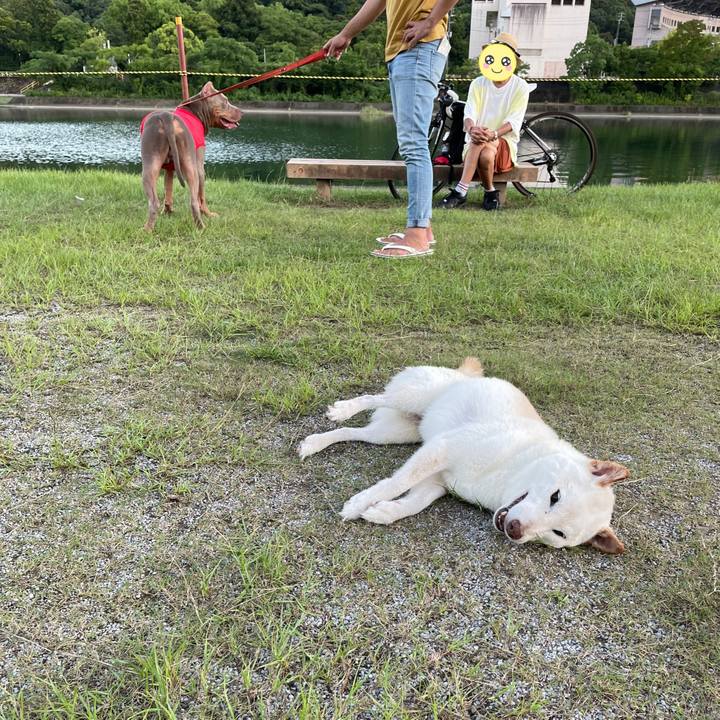 Fefb91b1 f381 46ed a253 14a89dbb38b4 1659359811084