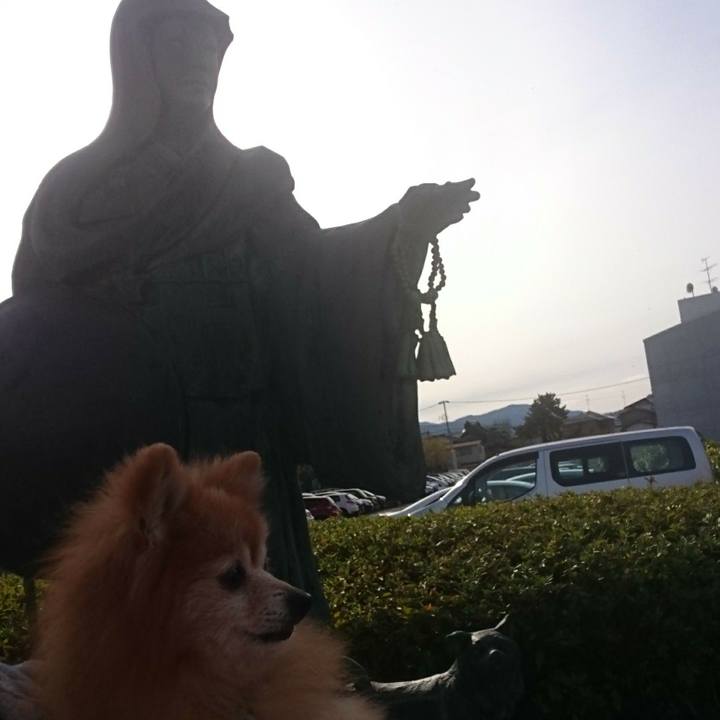 Fefb91b7 af9c 4e1c bfe6 67757cfb8706 1574668737029