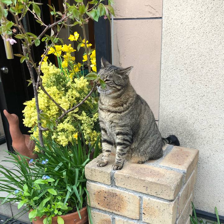 Fefc23ca aaf4 47b2 92e7 74eda9a7f45f 1584874788935