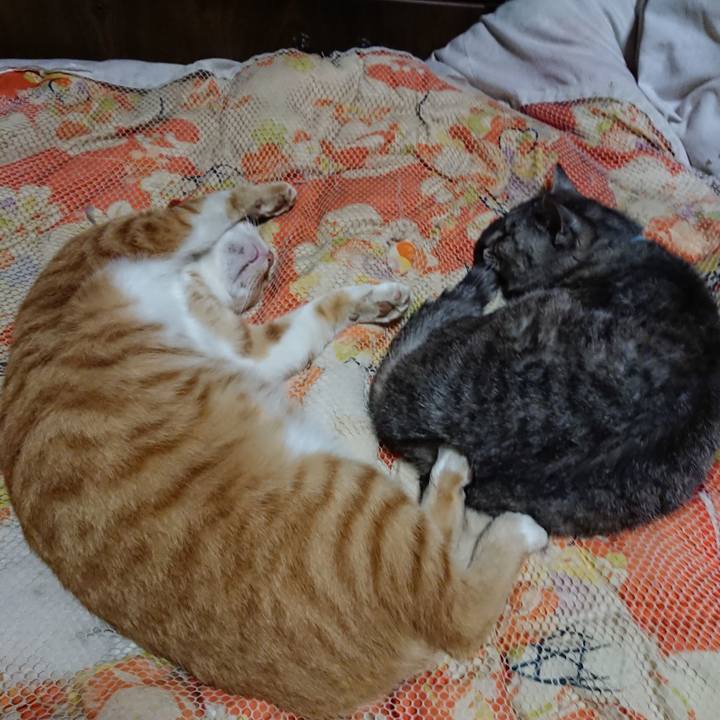 Fefc9bd0 2d0b 4116 ae7f 2740c8442baf 1570285312579