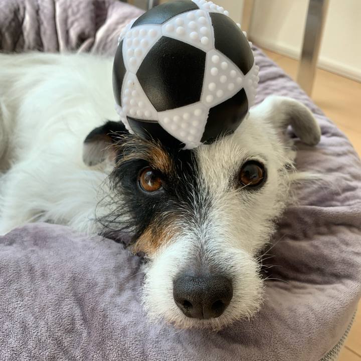 Fefcc805 2176 4670 8709 c27bf154caaa 1618203789436