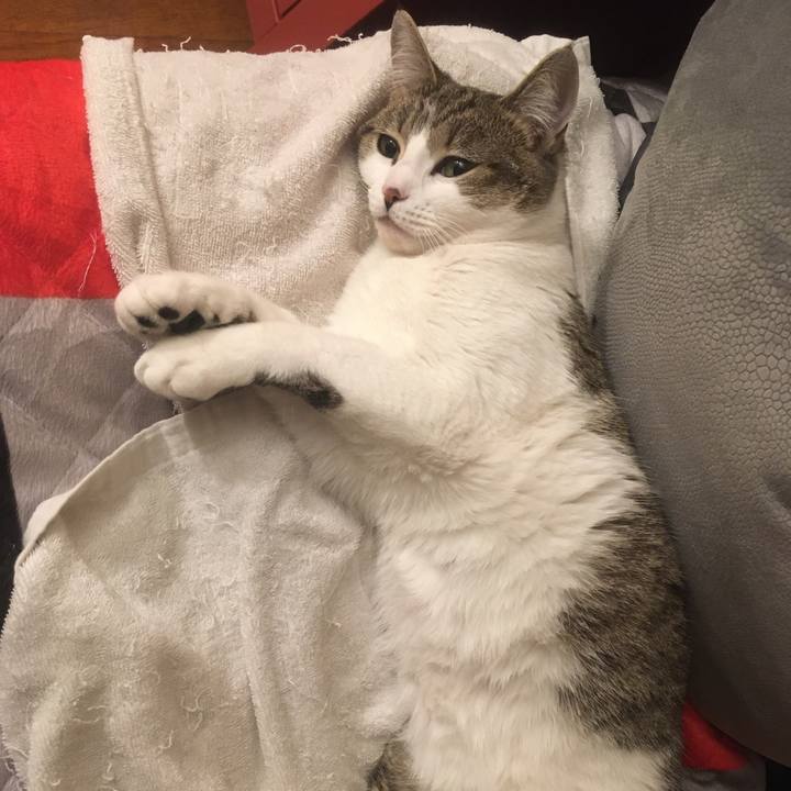 Fefccffa a710 4884 abe7 0a2910e033d7 1633135091341