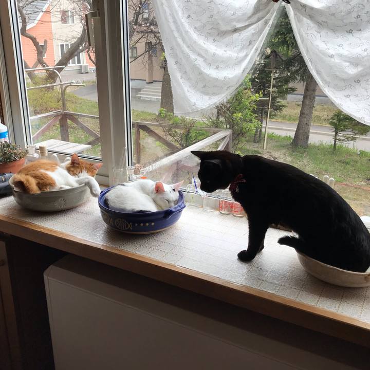 Fefcd72a 09c7 450e 8e28 91044f98157b 1589941717419