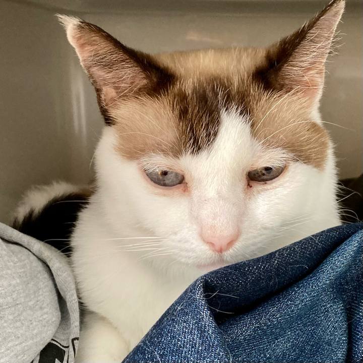 Fefd00e8 ce09 4da0 b688 48d8484d34c4 1633747114059