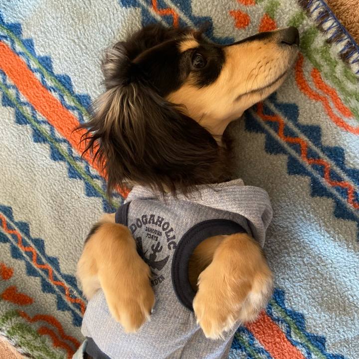 Fefd23f7 0304 4faa 8386 86649ee2e7c6 1675915731510