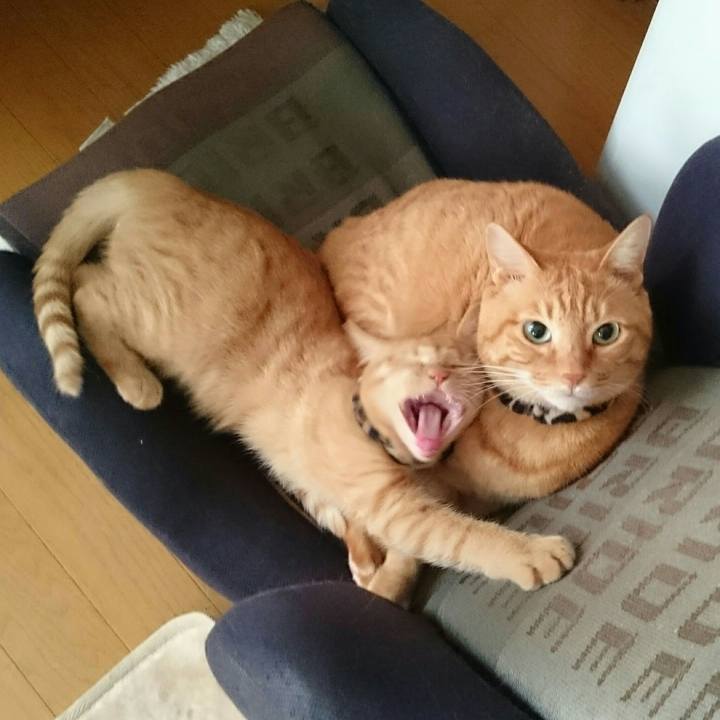 Fefd24e2 74fa 4e95 ab19 9a877ec0123a 1544662044674