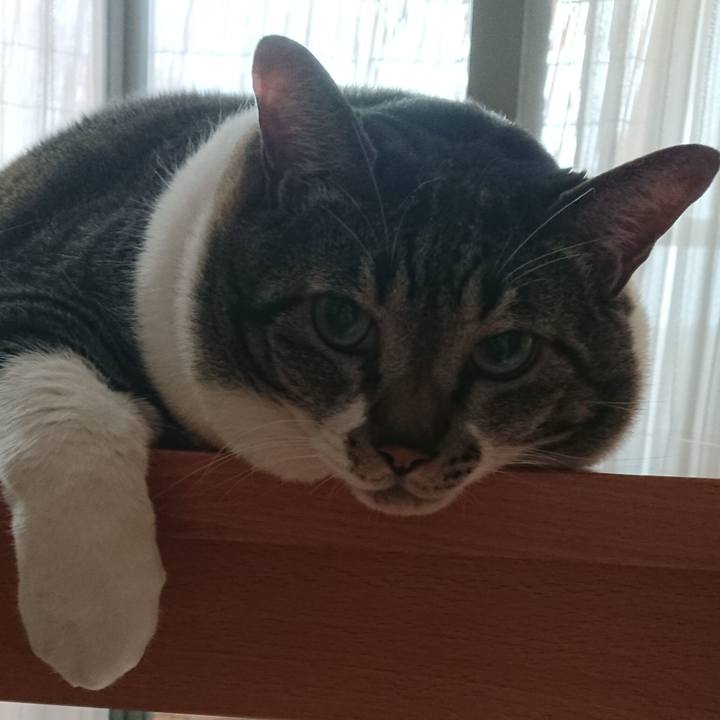 Fefd339d fb93 4460 82ea 6ce71c5f03e6 1570140583087