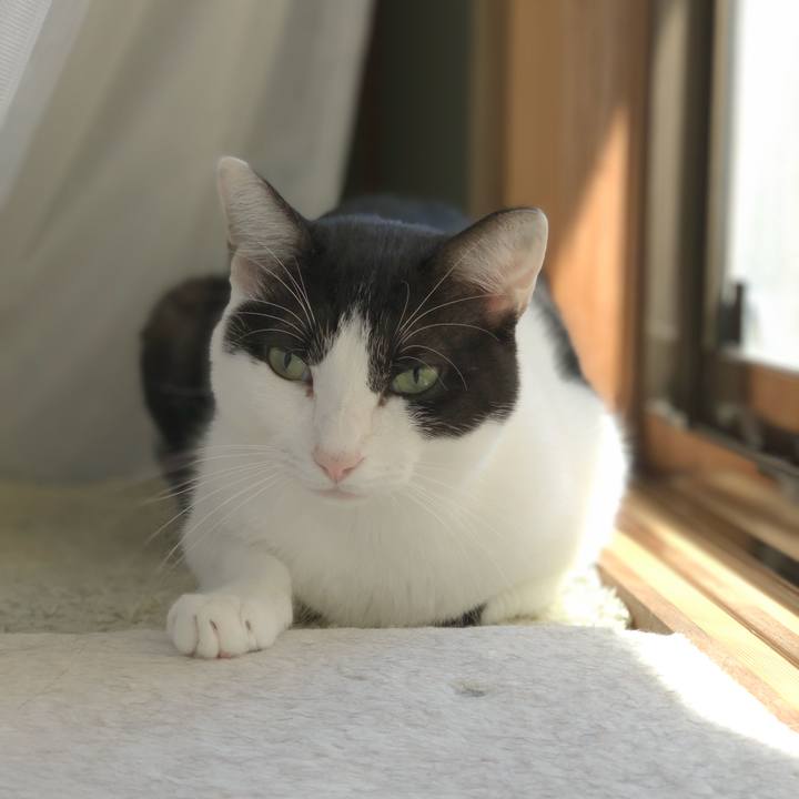 Fefd8896 1746 459b 9401 870beefcd525 1538793540652