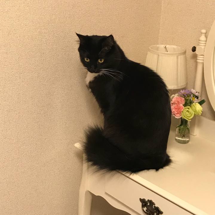 Fefda1ac bf49 44c3 a554 30392621428b 1512430501999